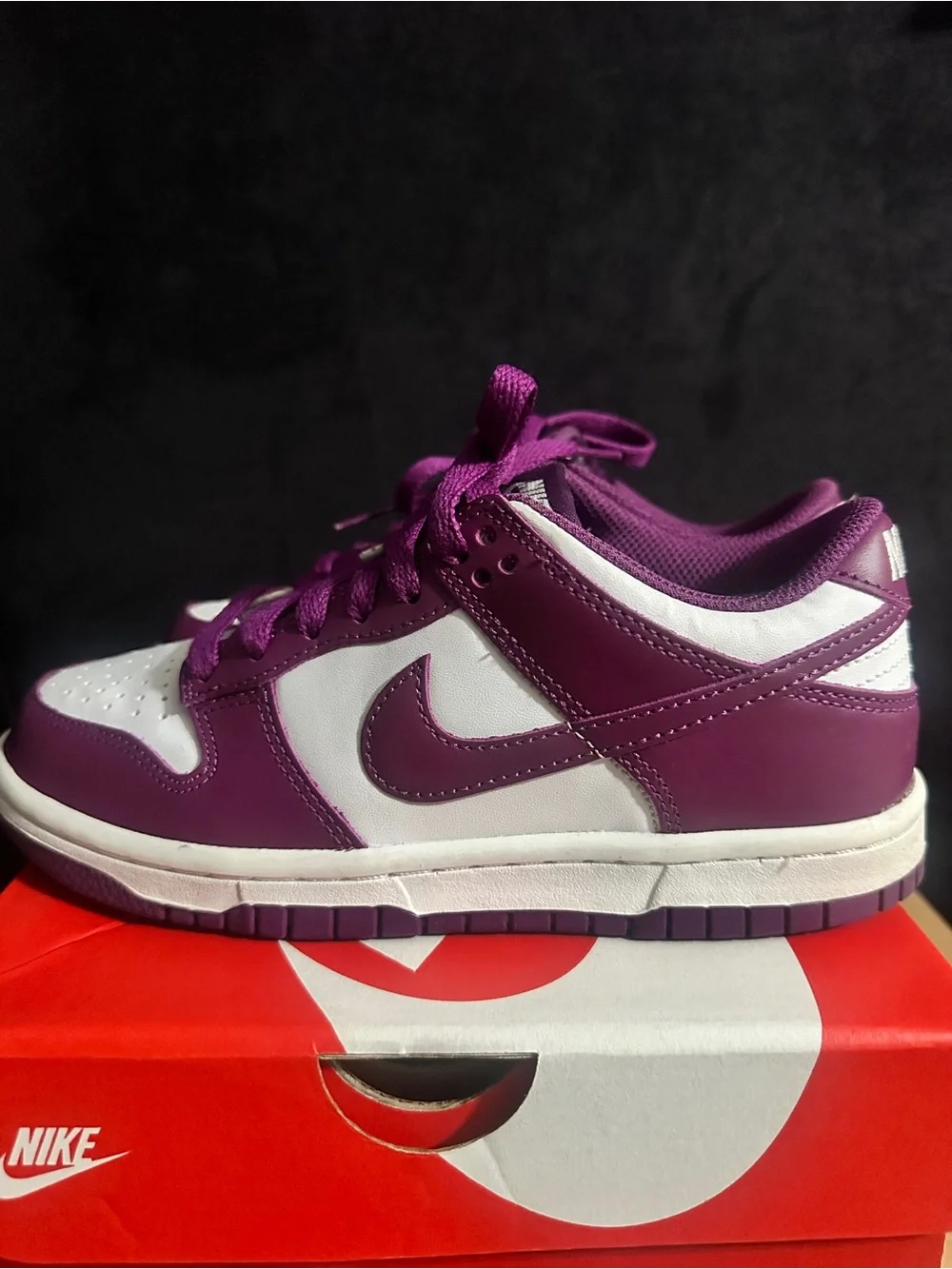 Nike Dunk Low Purple and White Leather Sneakers